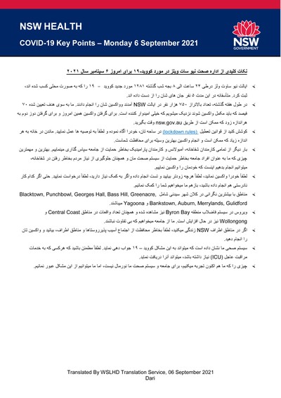 dari06sep.jpg